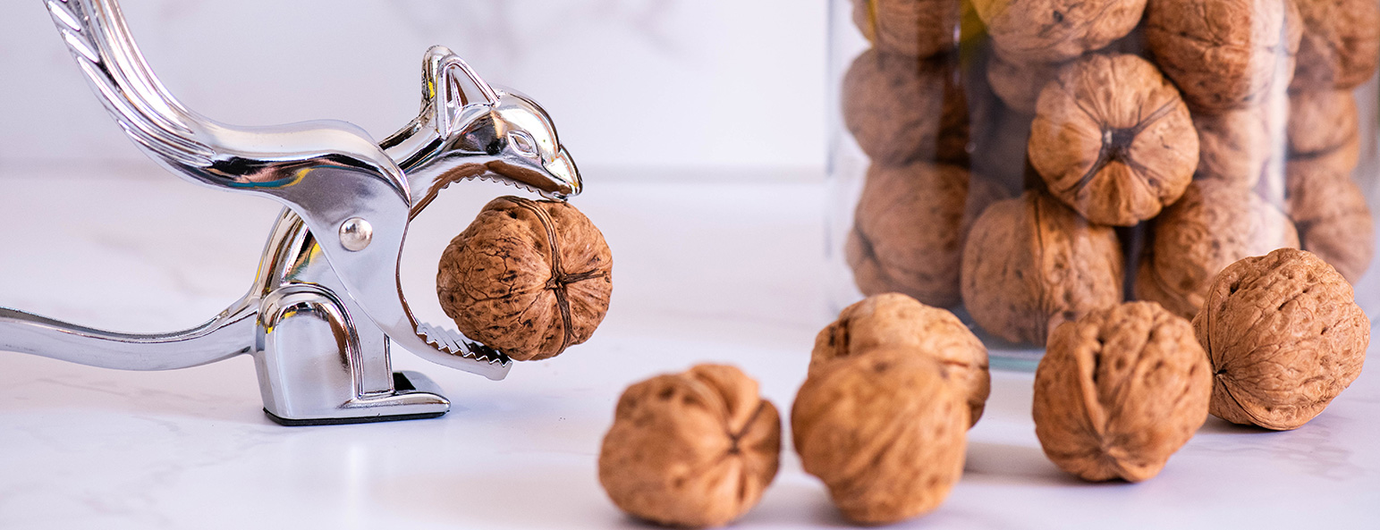 Creiamo con le noci | Let’s create with walnuts