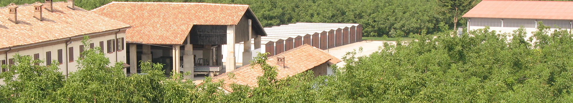 Tenuta Agricorti - Agricorti estate