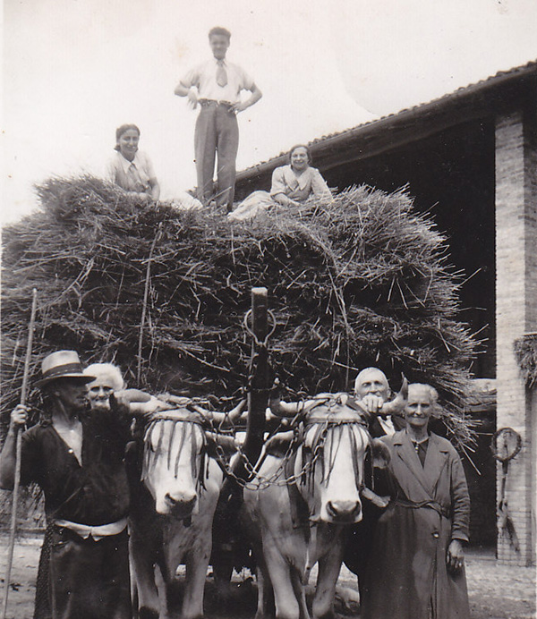 Famiglia Corti