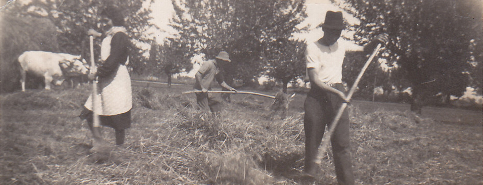 Storia Agricorti | Agricorti History