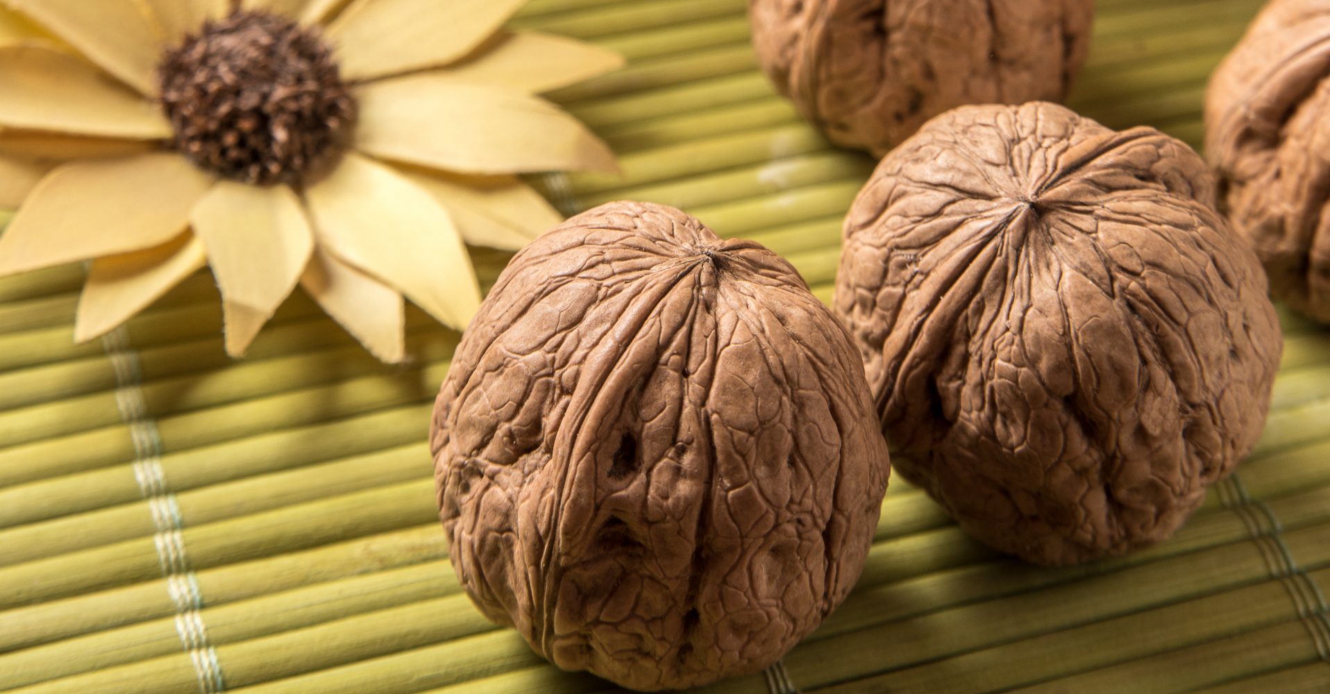 Primo piano di due noci intere con gusci marroni e un girasole essiccato sullo sfondo - Close-up of two whole walnuts with brown shells and a dried sunflower in the background