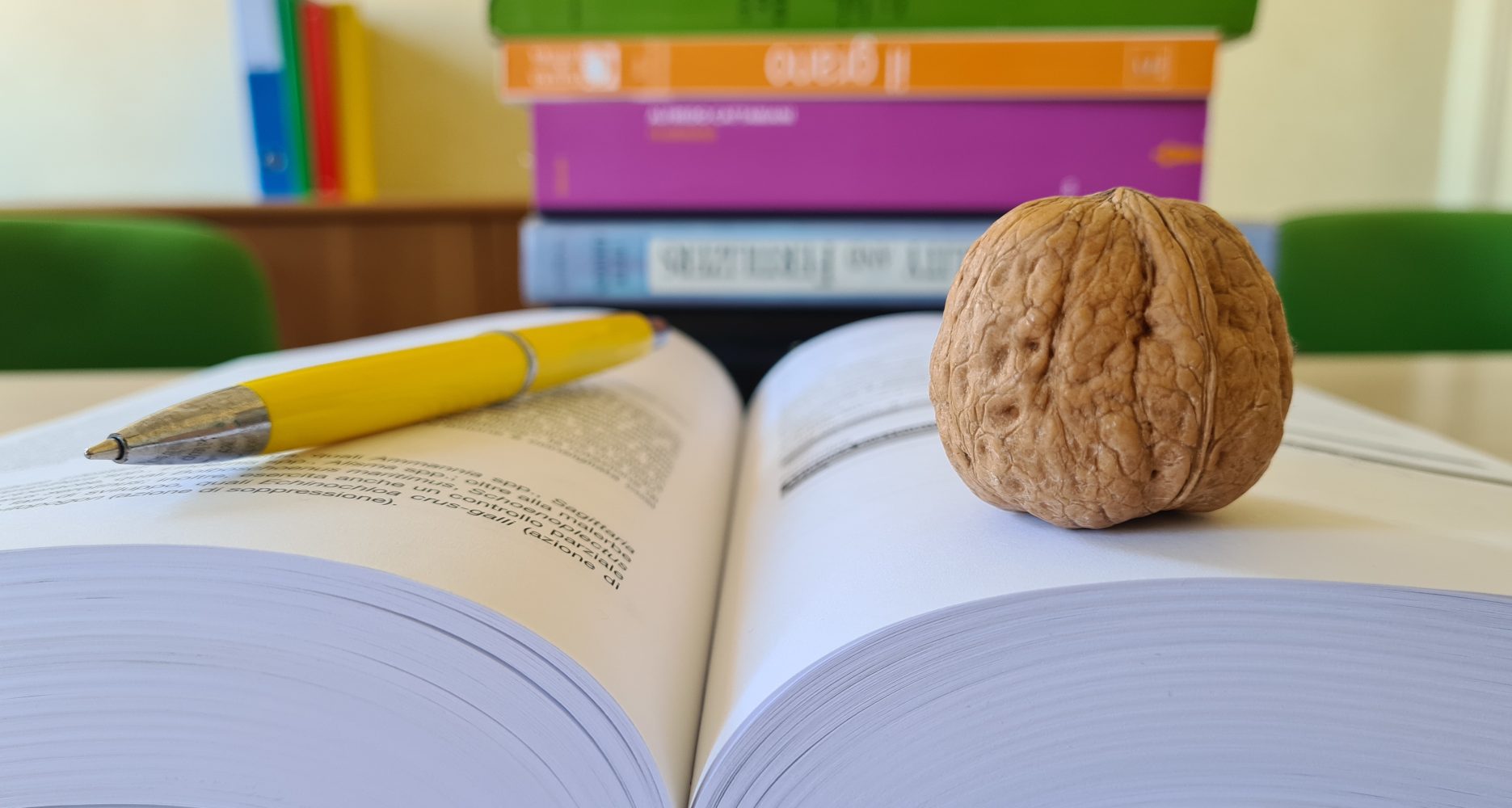 Una noce intera appoggiata sulla pagina destra di un libro aperto con una penna gialla sulla pagina sinistra, e una pila di libri colorati sullo sfondo - A whole walnut resting on the right page of an open book, with a yellow pen on the left page, and a stack of colorful books in the background