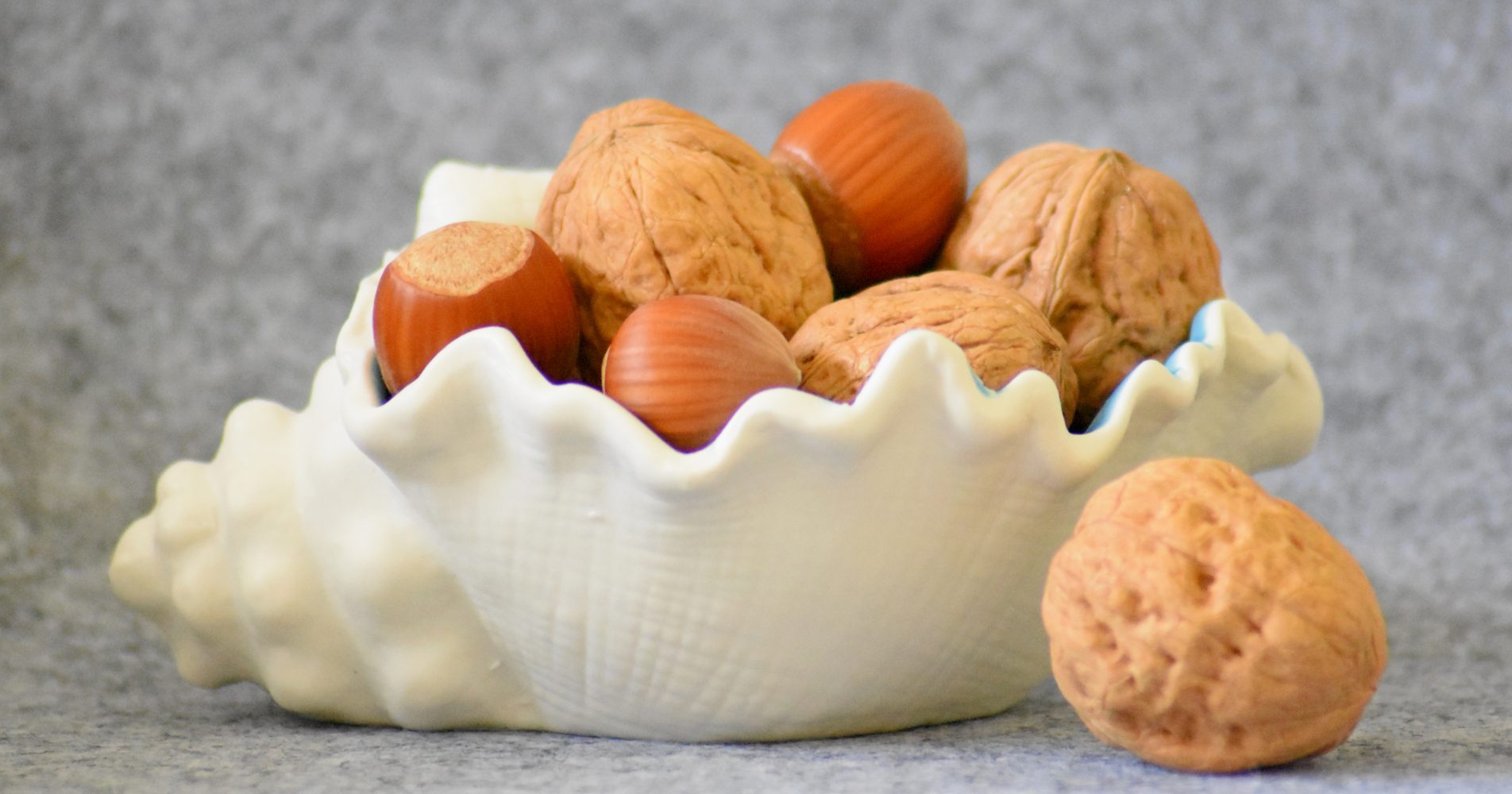 Una conchiglia decorativa in ceramica bianca contenente noci e nocciole intere, con una noce singola appoggiata accanto su un piano grigio - A decorative white ceramic shell containing whole walnuts and hazelnuts, with a single walnut placed beside it on a gray surface