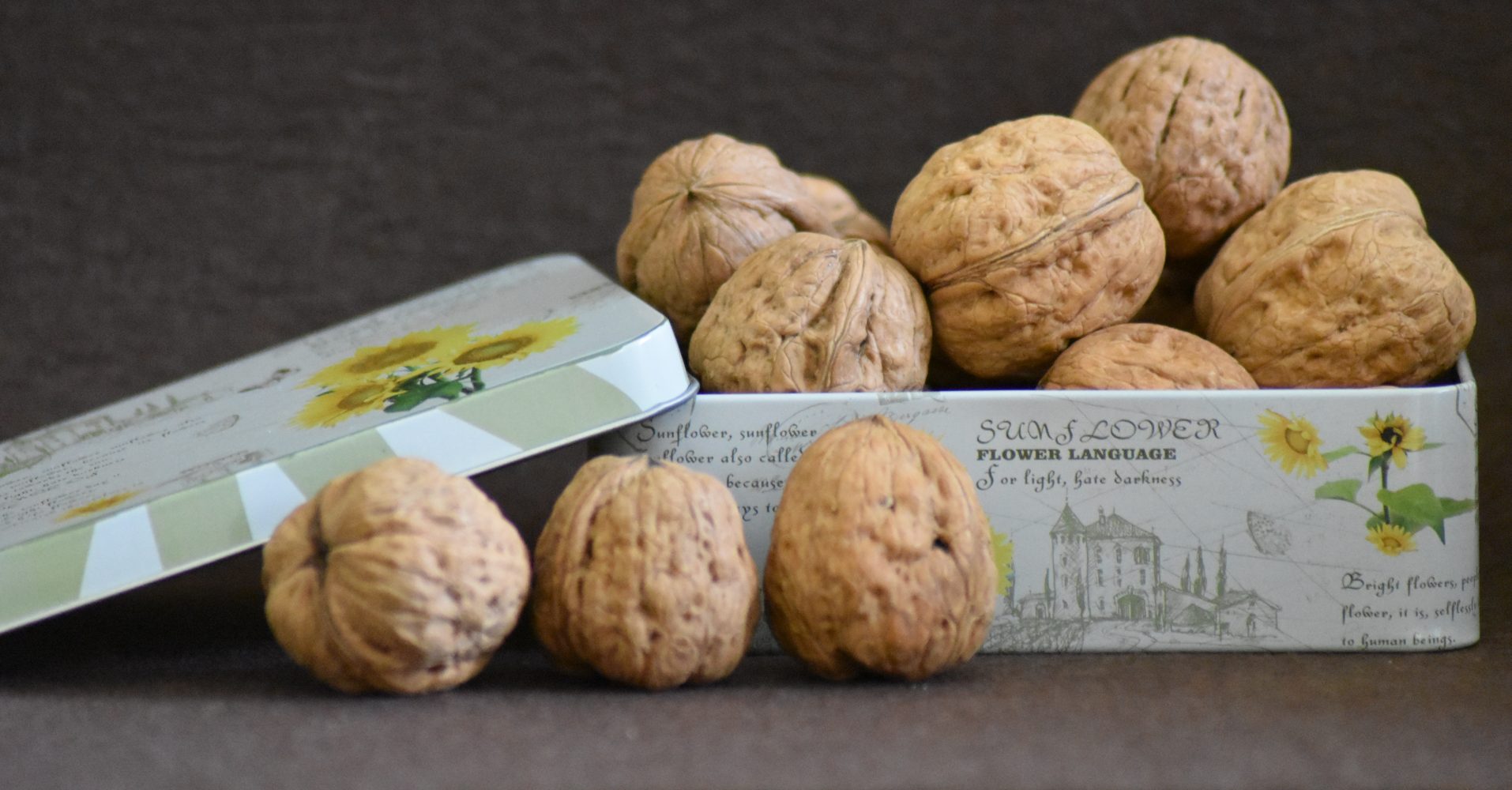 Una scatola di latta decorata con girasoli colma di noci intere, con tre noci appoggiate sul piano davanti ad essa - A tin box decorated with sunflowers and filled with whole walnuts, with three walnuts placed on the surface in front of it