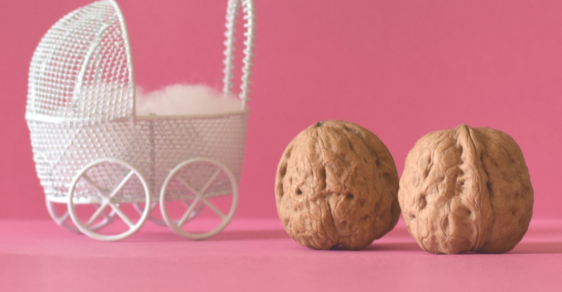Due noci intere con guscio accanto a un piccolo modellino di carrozzina bianca in metallo, su un vivace sfondo rosa uniforme - Two whole walnuts in their shells next to a small white metal pram model, on a bright, solid pink background