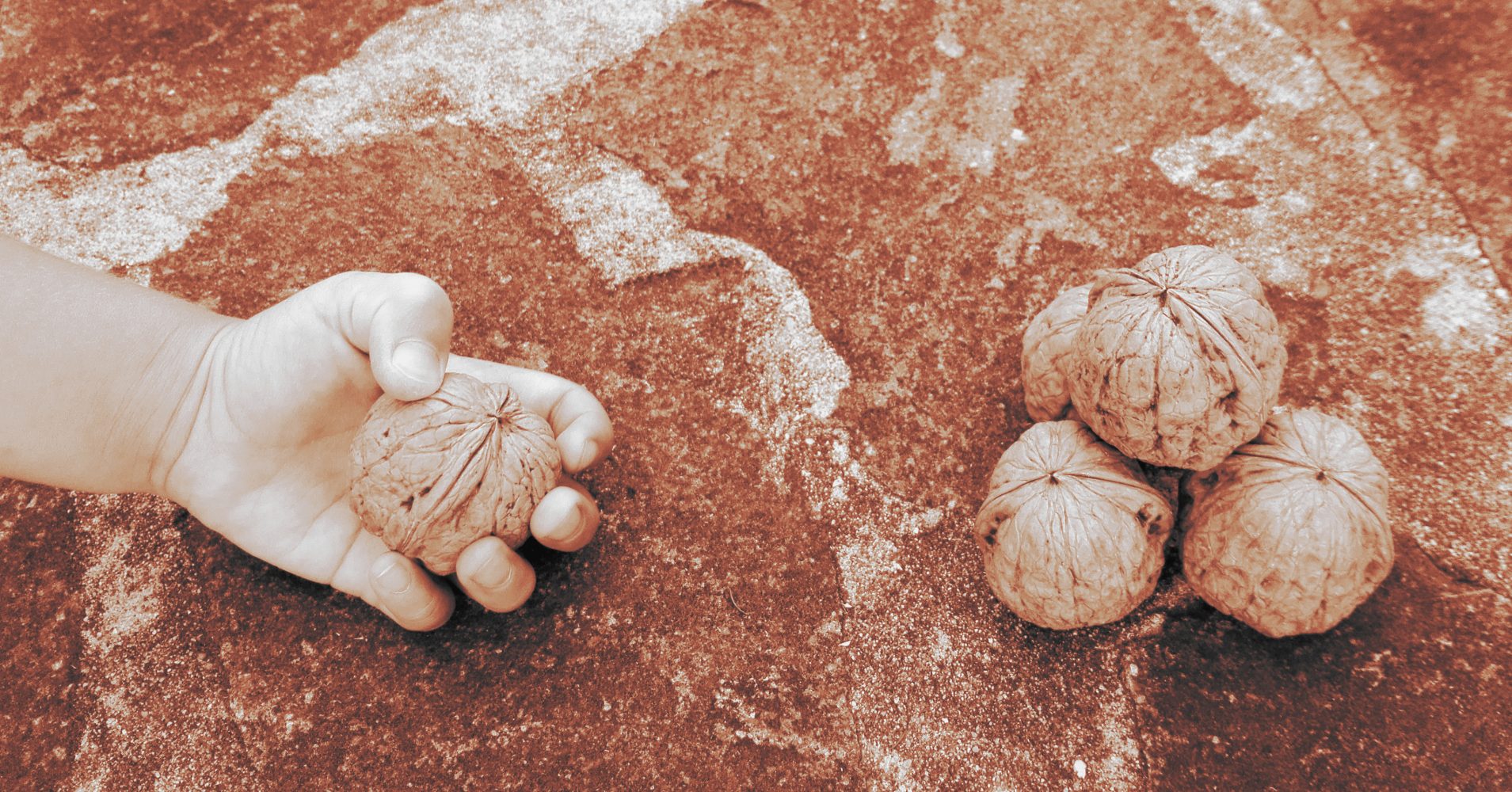 Mano di un bambino e noci appoggiate su una pavimentazione | A child’s hand and walnuts placed on a paved surface