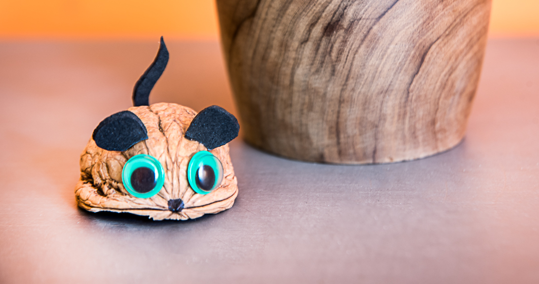 Da noce a…topolino | From walnut to… little mouse
