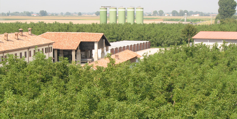 Cascina Matta