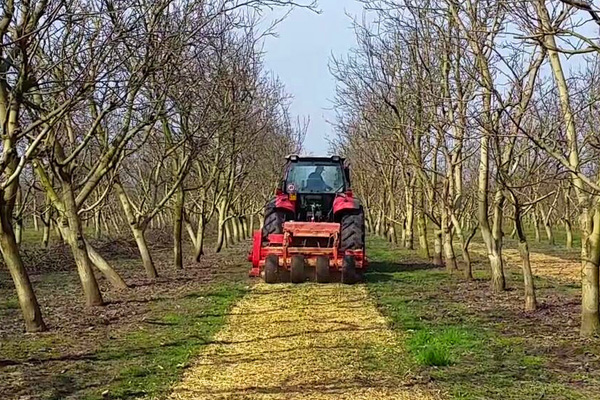 potatura e nutrizione del noceto