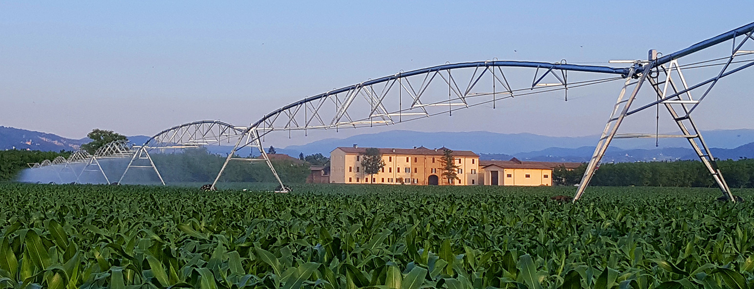 Le tenute Agricorti | The Estates