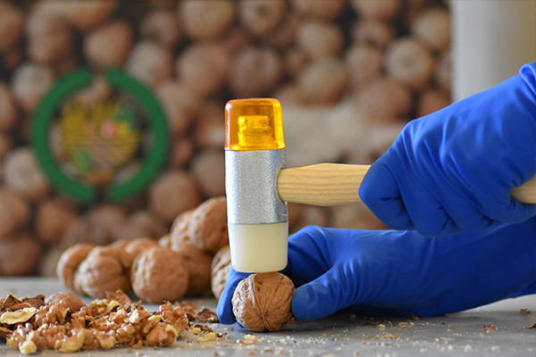 Selection and Packaging