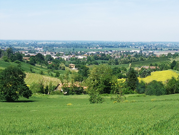 Tortona