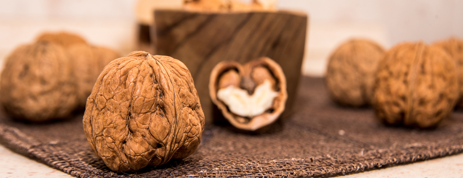 Noci e salute | Walnuts and Health