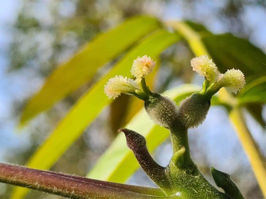 Agricorti photogallery