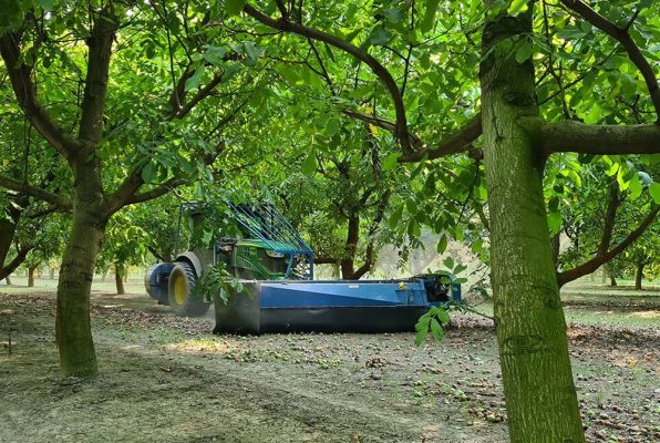 Agricorti photogallery