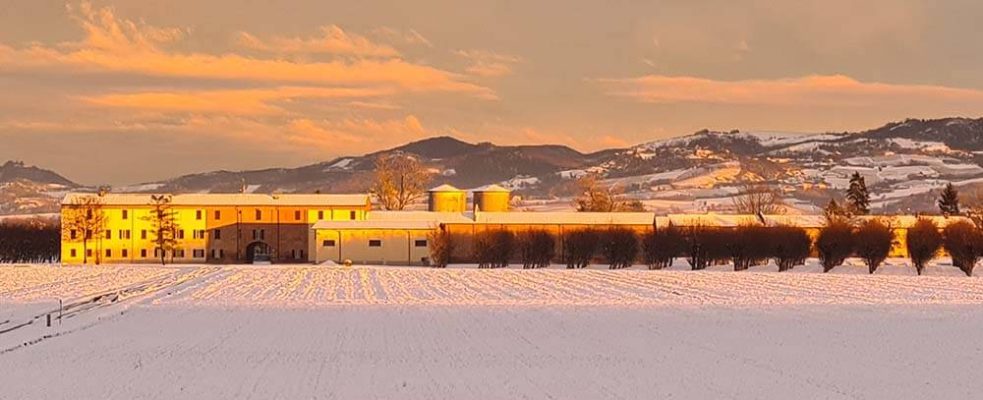 Agricorti photogallery